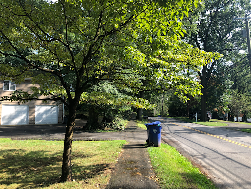 A seemingly idyllic sidewalk in Middletown, Connecticut. (Photo by Eugene Hu)