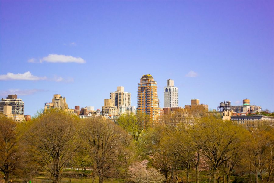 Central Park during the fall offers a pleasant pocket of nature. (Staff Photo by Manasa Gudavalli)