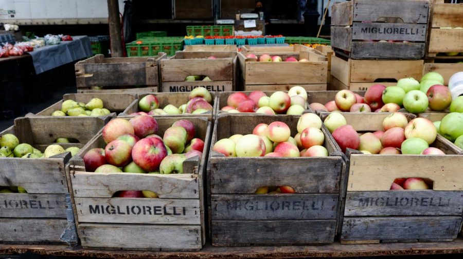 The Union Square Greenmarket has delicious apples grown by local farmers. (Staff Photo by Shaina Ahmed)