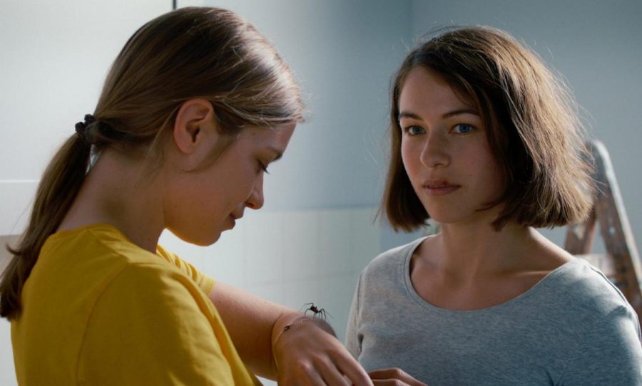 “The Girl and the Spider” explores themes of love and loss. The film centers on two roommates clashing as one of them moves out of their apartment. (Image courtesy of Cinema Guild)