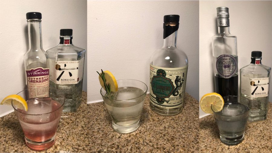 While gin and tonics primarily consist of a balanced mix of gin and tonic water, they can be spiced up with citrus, syrups and bitter liqueurs. (Photos by Phoebe Goldman)