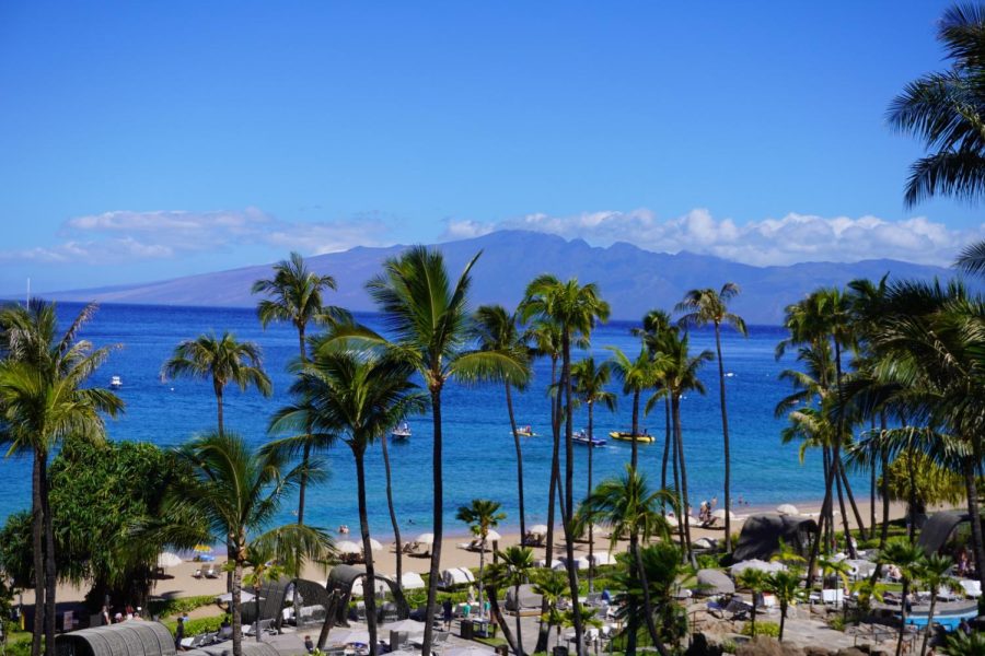 Palm trees swaying in front of a beach with clouds and mountains in the background in Maui, Hawaii.