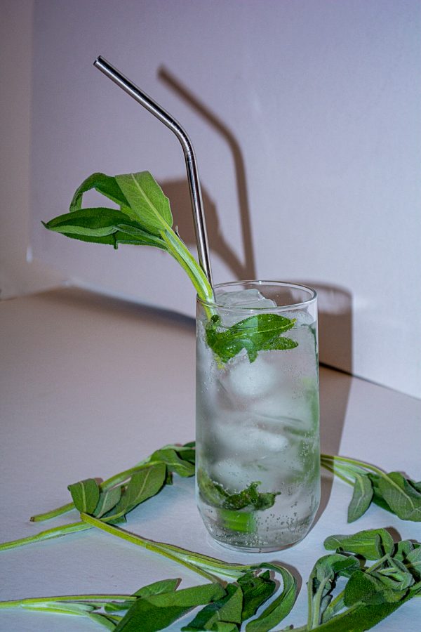 A glass of clear gin-based cocktail decorated with sage leaves and a metal straw against a white background shot from the front.