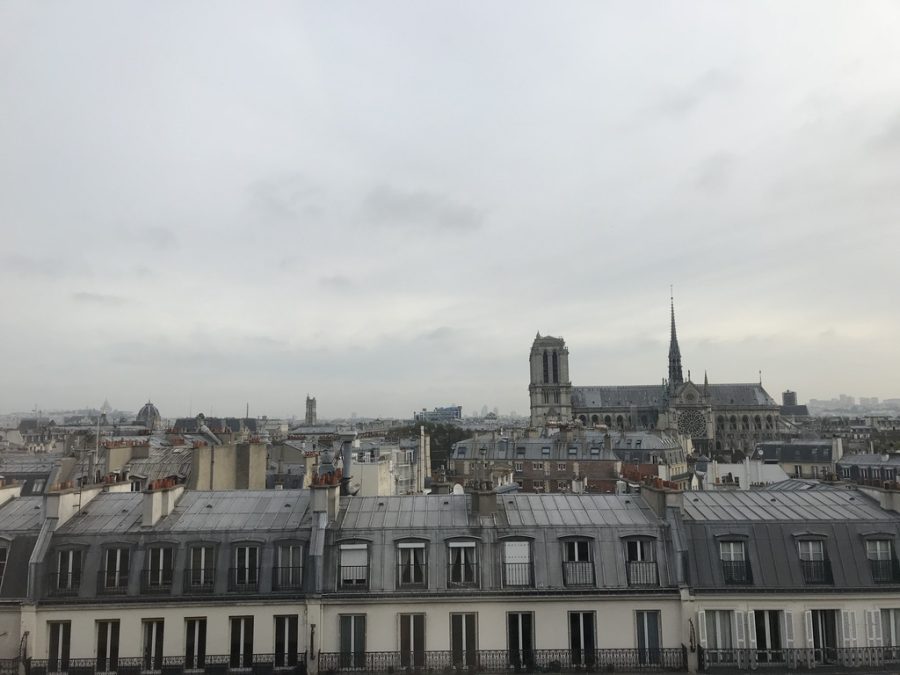 The skyline of the 5th arrondissement and Île de la Cité in Paris, France. On the right, the Notre Dame cathedral towers above the other buildings.
