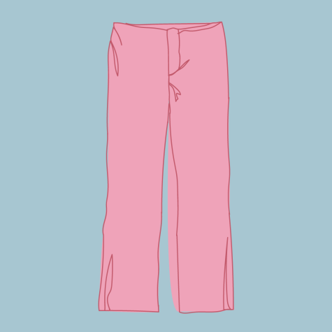 An illustration of a baby pink pair of pants against a baby blue background.