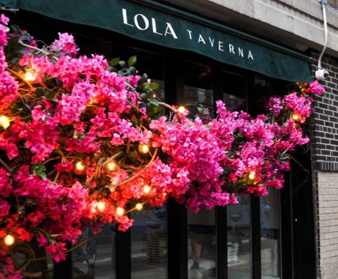 The deep green rooftop awning of Lola Taverna with the restaurant’s name printed in white above the door frame. On the left, a vine with hot pink flowers and Christmas lights extends horizontally across the facade.