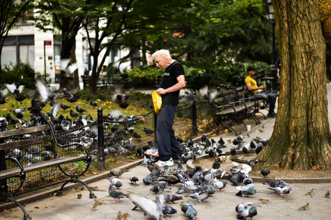 An elderly man feeds pigeons in Washington Square Park. He is wearing a black shirt and black pants and he holds a yellow bag.