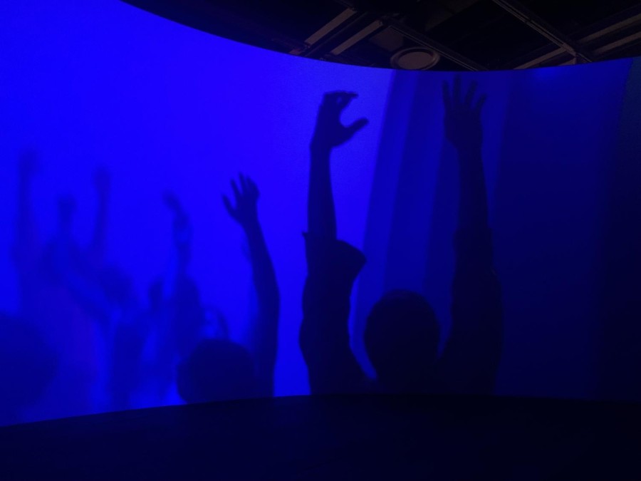 A+shot+of+silhouetted+figures+in+front+of+a+blue+wall.+The+silhouettes+are+raising+their+arms+up.