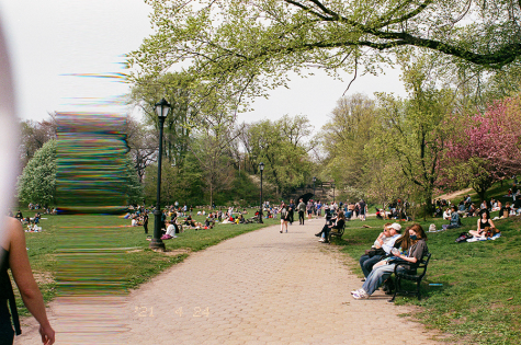 A 35mm film image of Prospect Park. In the center, a brown paved walking path diverges into the frame. On either side, people sit in the grass. On the left-hand side of the picture is a strip of blur.