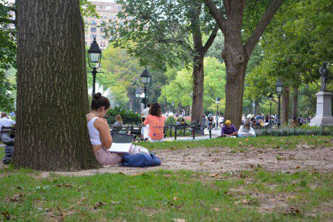 A person sits against a tree while reading a book in Washington Square Park. Foliage and other parkgoers can be seen in the background.