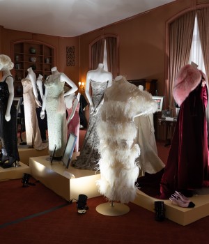 Gowns are shown on podiums in a large maroon room.
