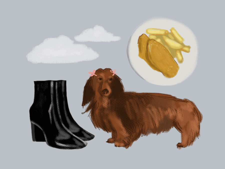 An illustration of a long-haired dachshund dog, light gray clouds, plain “fish and chips” on a white plate and plain black leather boots with a small heel.