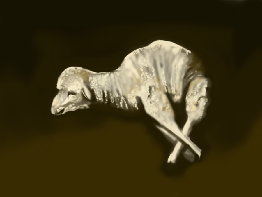 An illustration of a baby lamb against a brown background.