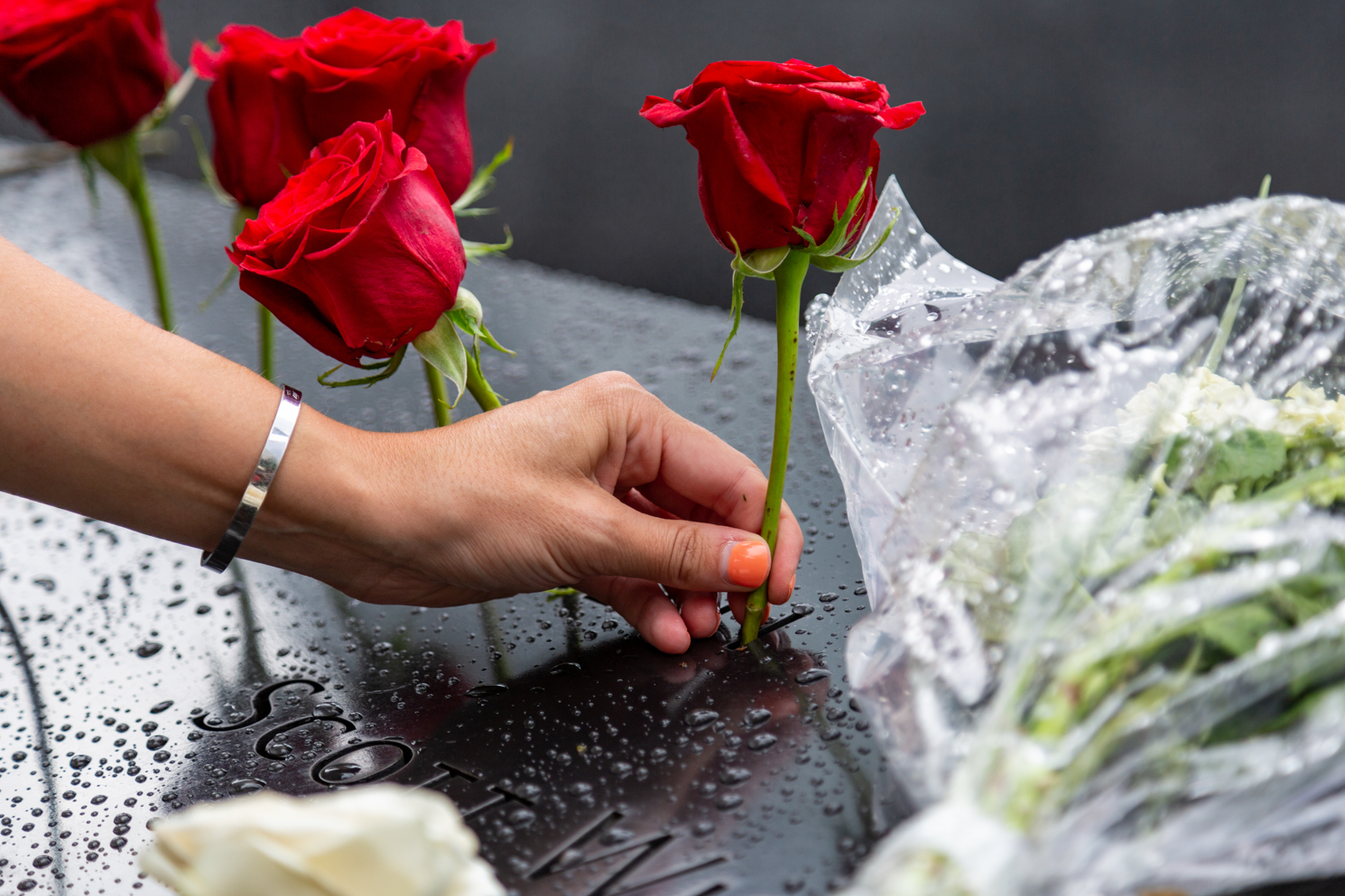 A hand places a rose onto one of the names engraved at the Sept. 11 memorial.