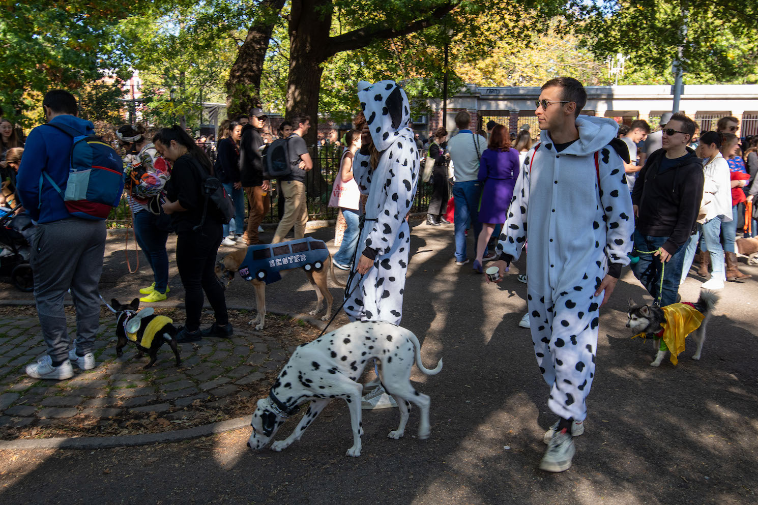 A couple wearing matching Dalmatian onesies walk with their Dalmatian through a crowd in Tompkins Square Park.