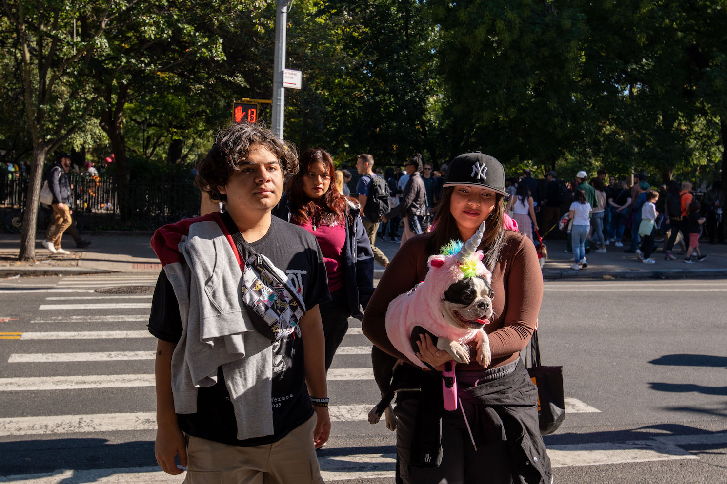 Three people cross the street at Avenue A and 9th Street. One holds a black-and-white dog wearing a pink unicorn costume, and the other two are not wearing costumes. A crowd walks through the park behind them.