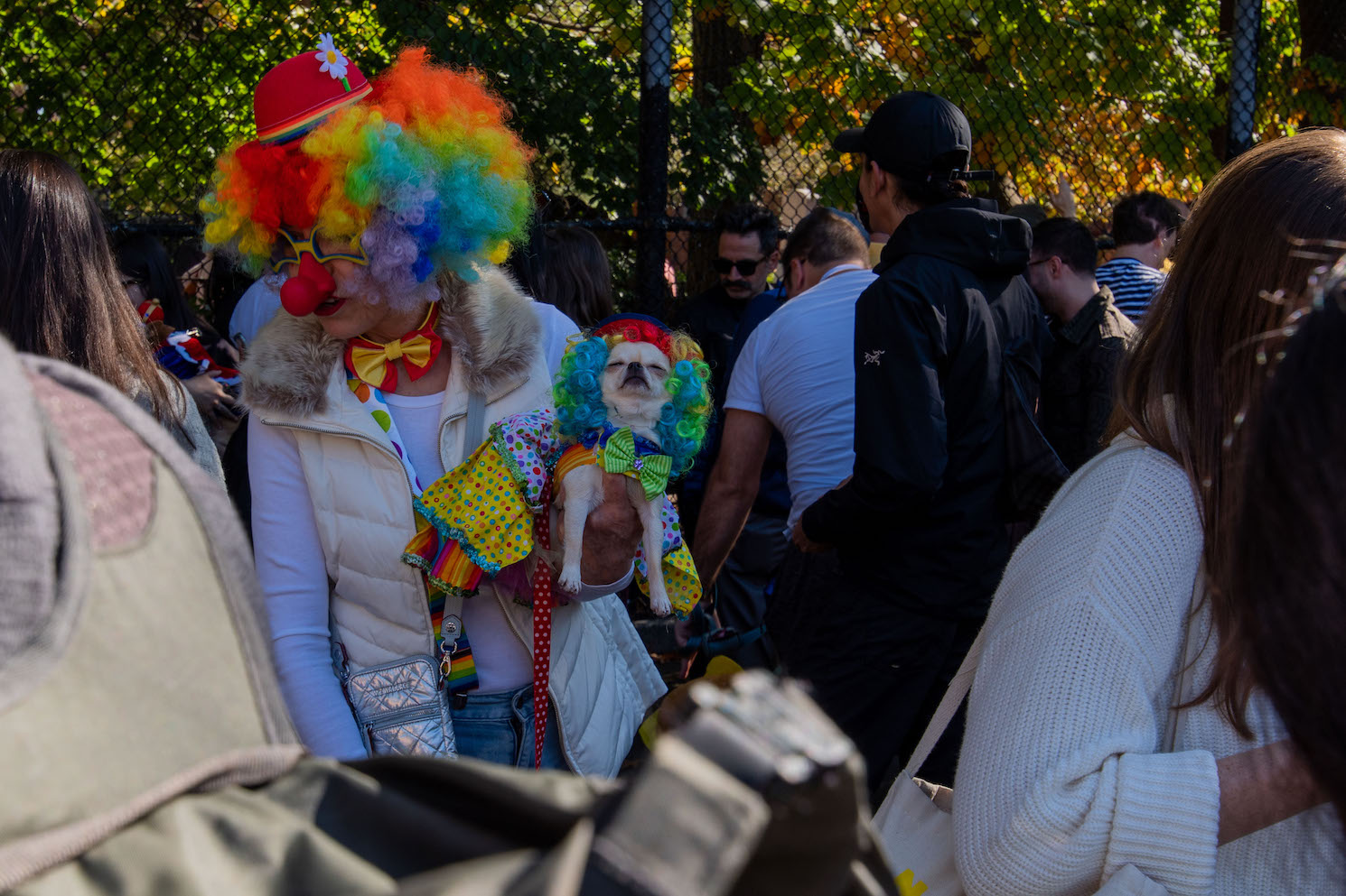 A person in the crowd wears a rainbow clown wig and accessories. They hold a white chihuahua that wears a matching costume.