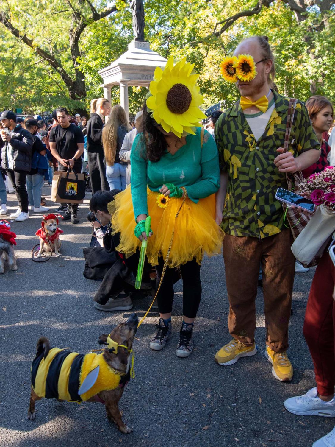 A couple stands in the middle of Tompkins Square Park wearing sunflower costumes with their small, brown dog wearing a bumble bee costume.