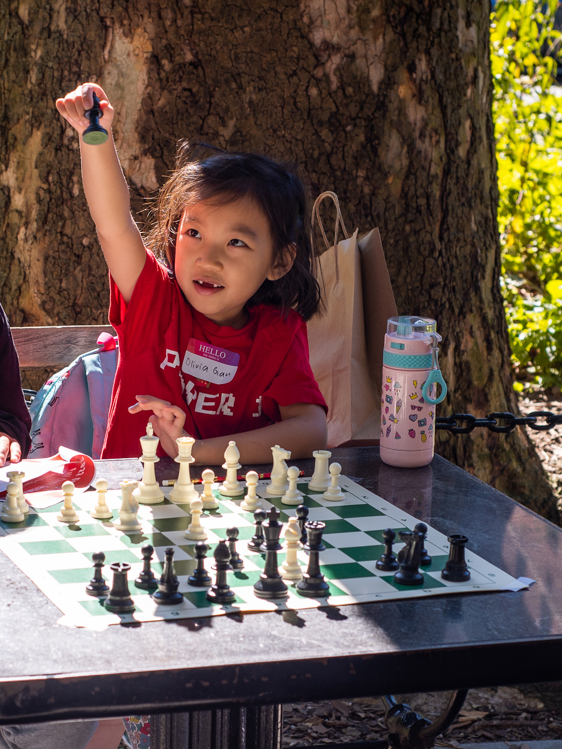 Gurutz Rosdorf Park 2 Player Chess