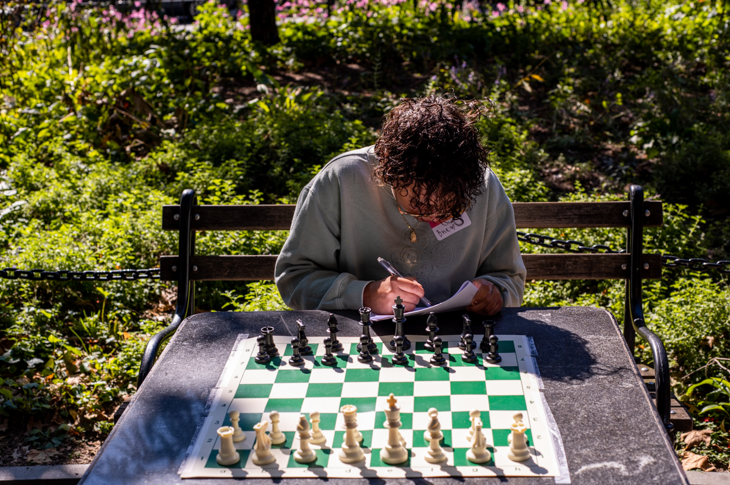 Rosdorf Park Gurutz Rosdorf Park 2 Player Chess