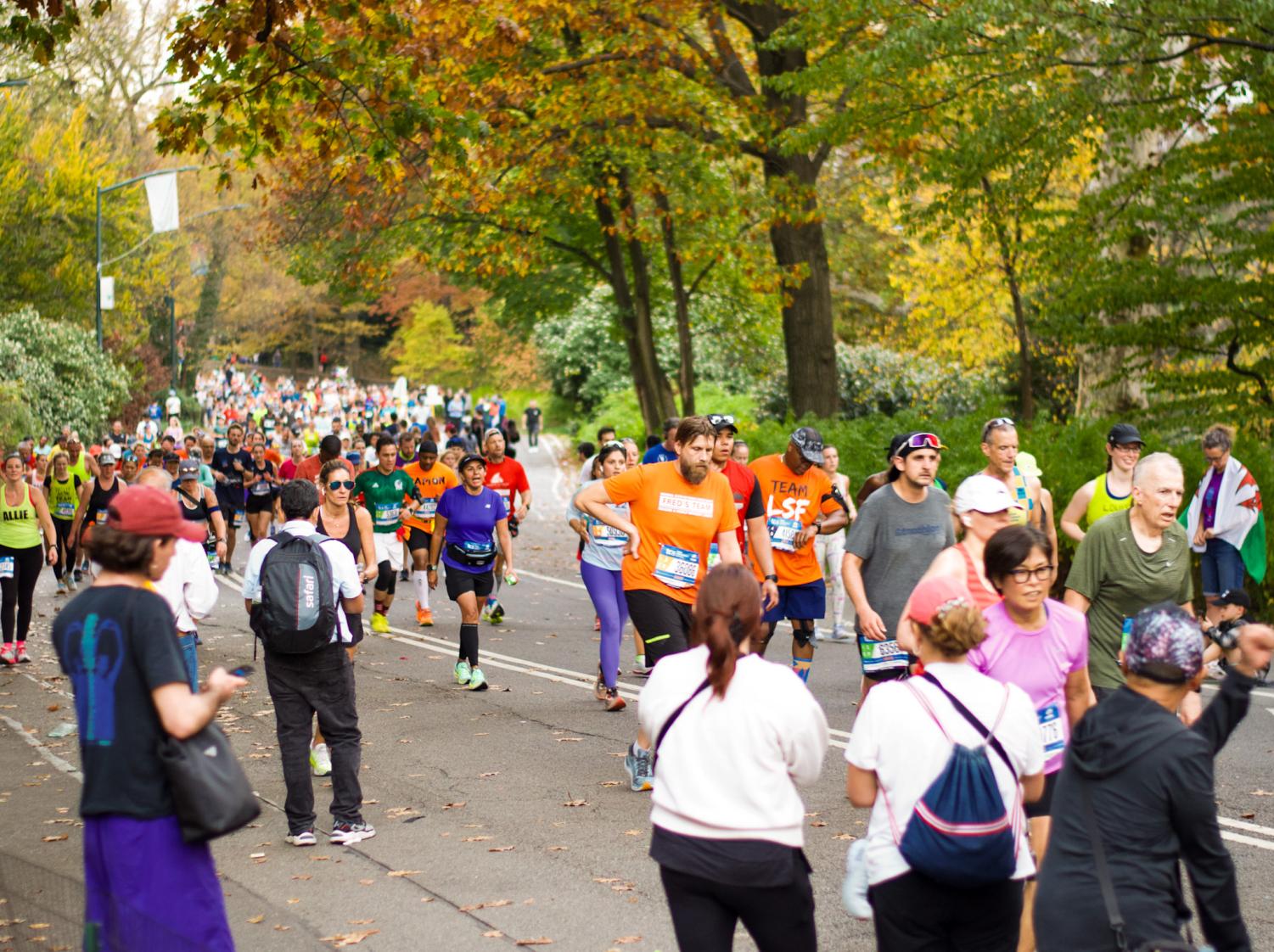 A big crowd of runners running on a concrete road. Most runners have orange colored shirts. To both sides of the runners are green trees, and some that have orange leaves.