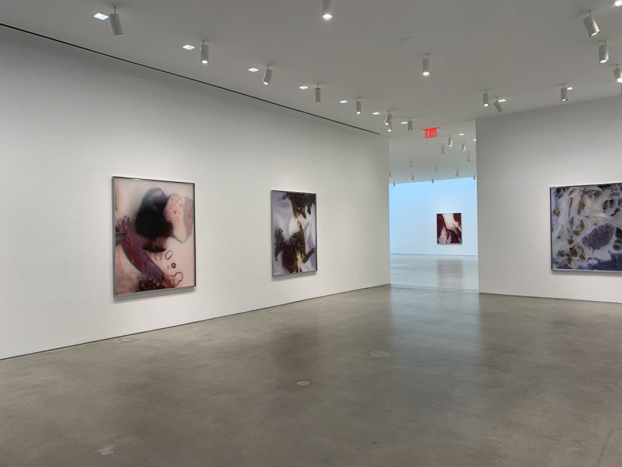 Four abstract paintings hang on on white hall in a gallery space with gray floors and white ceilings. On the left, there is a pink and black composition with various rounded shapes. Second to the left is a black-and-white composition with blocks of colors. Second to the right is a composition with red and white blocks. To the right is a composition with streaks of white lines.