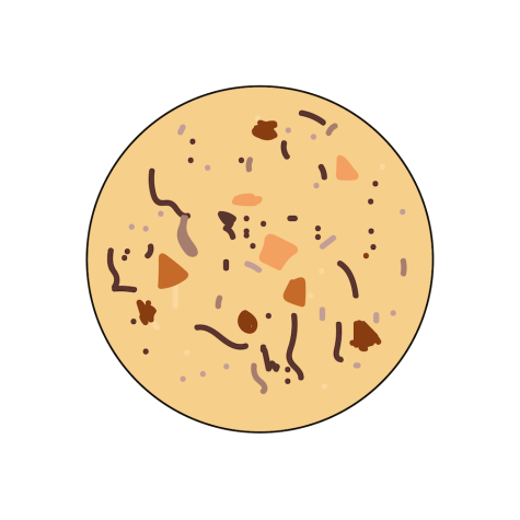 An illustration of a light brown rounded cookie with toffee and chocolate sprinkled on top.