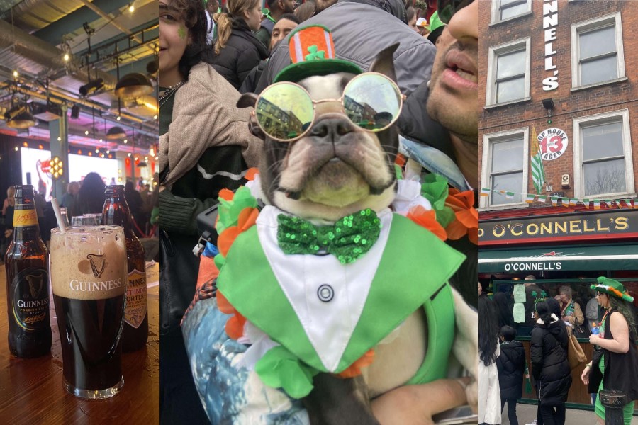 A collage of three photos. On the left are two bottles and a glass of beer on a table inside a bar; in the middle is a bulldog wearing sunglasses and a green suit; on the right is the storefront of a bar named “O’Connell’s” with people outside.