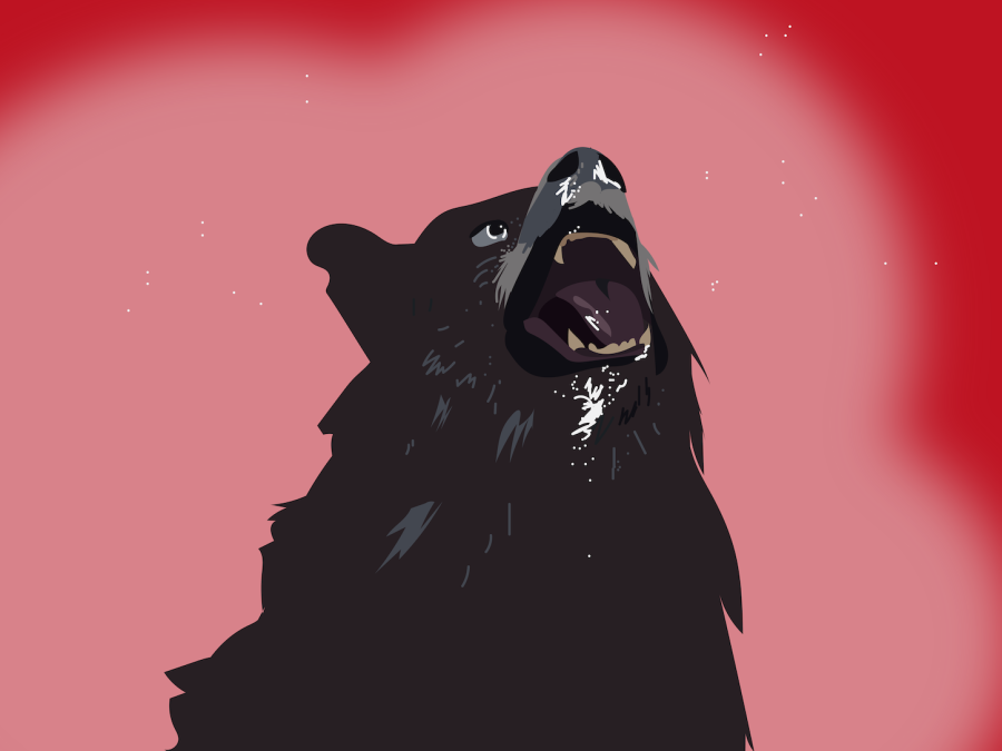 An angry-looking black bear growls against a red background.