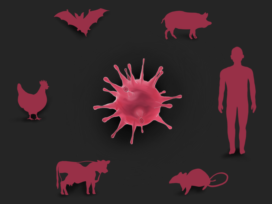 An illustration of the silhouettes of six animals, including a bat, a pig, a human, a rat, a cow and a chicken, all surrounding an illustration of a virus. The silhouettes are burgundy and are against a dark brown background.