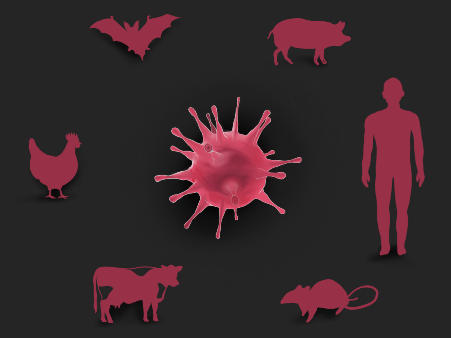 +illustration+silhouettes+six+animals%2C+including+a+bat%2C+a+pig%2C+a+human%2C+a+rat%2C+a+cow+and++chicken%2C+all +environment+image++a+virus.+Silhouettes+burgundy+and+on+dark+brown+background.