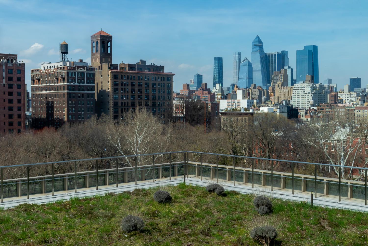 NYU’s grassy green roof with shrubs, located on top of the university’s Global Center for Academic and Spiritual Life.