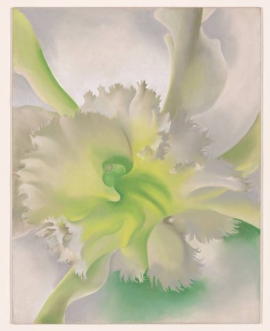 A painting titled An Orchid, 1941. The pastel painting shows a white orchid flower with green and yellow accents.