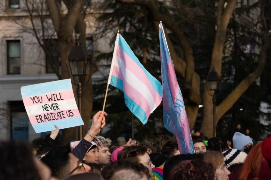 Above a crowd in a park, protesters hold blue, pink and white transgender flags and a sign reading “you will never eradicate us.”