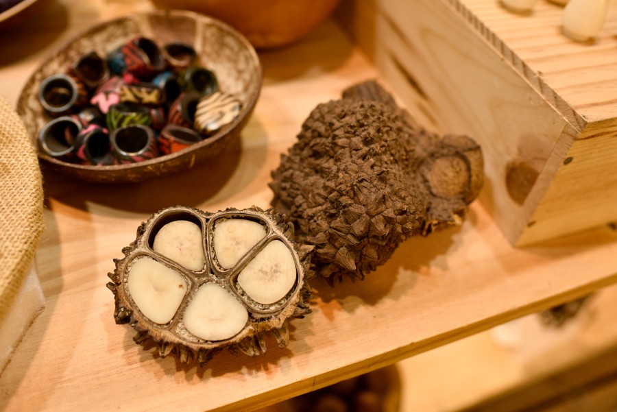 A cut open tagua nut, with the interior showing, sits next to a bowl of rings.