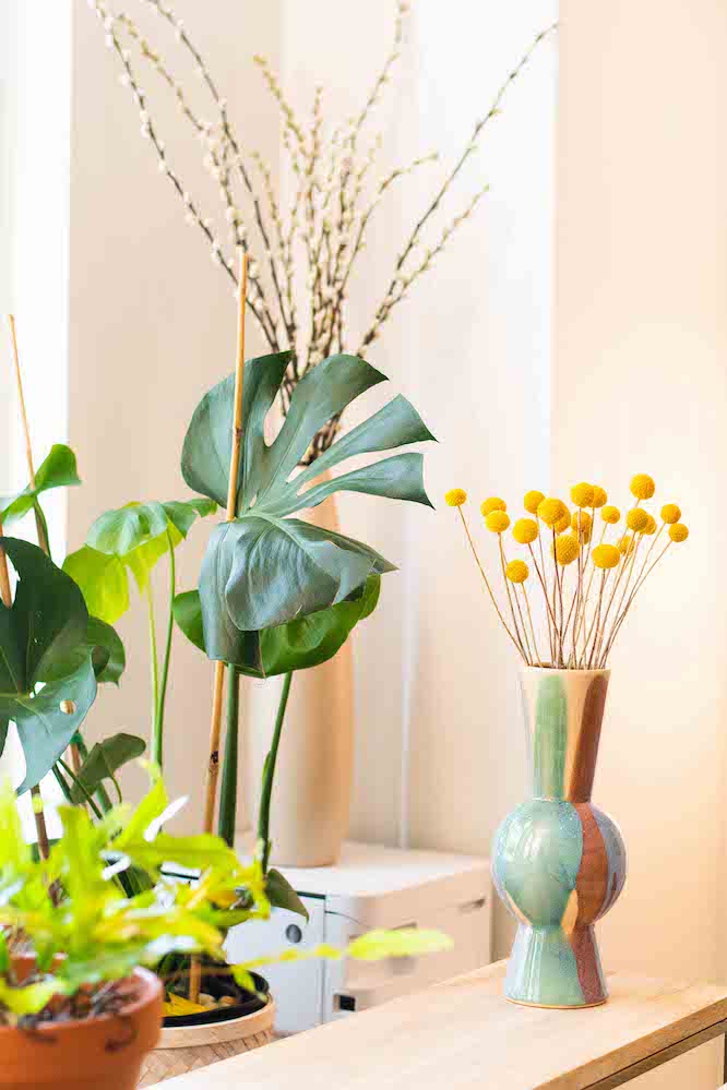 Various plants and a painted vase are placed in a corner of a room.