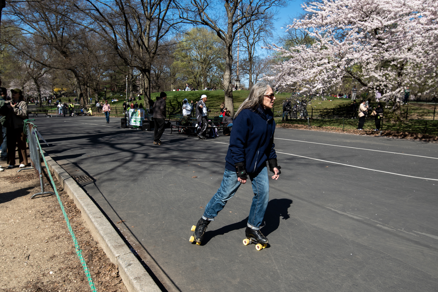 A person with long gray hair wears sunglasses, a navy blue jacket and blue jeans while roller skating in Central Park on a sunny day.