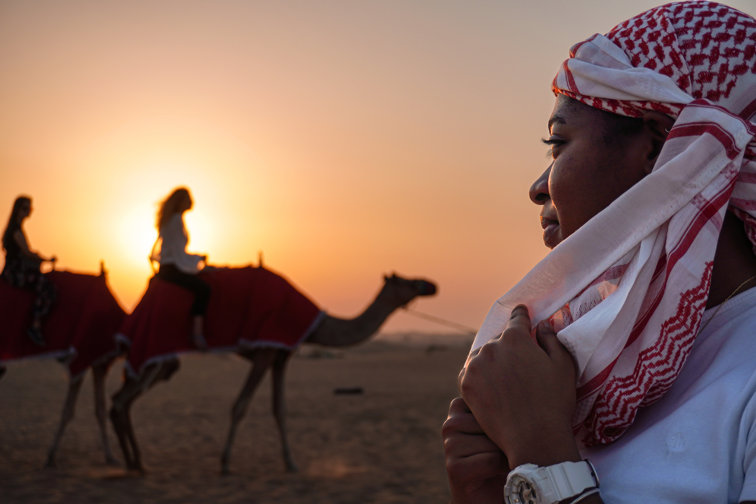 A girl looks at two camels walking past the sunset.