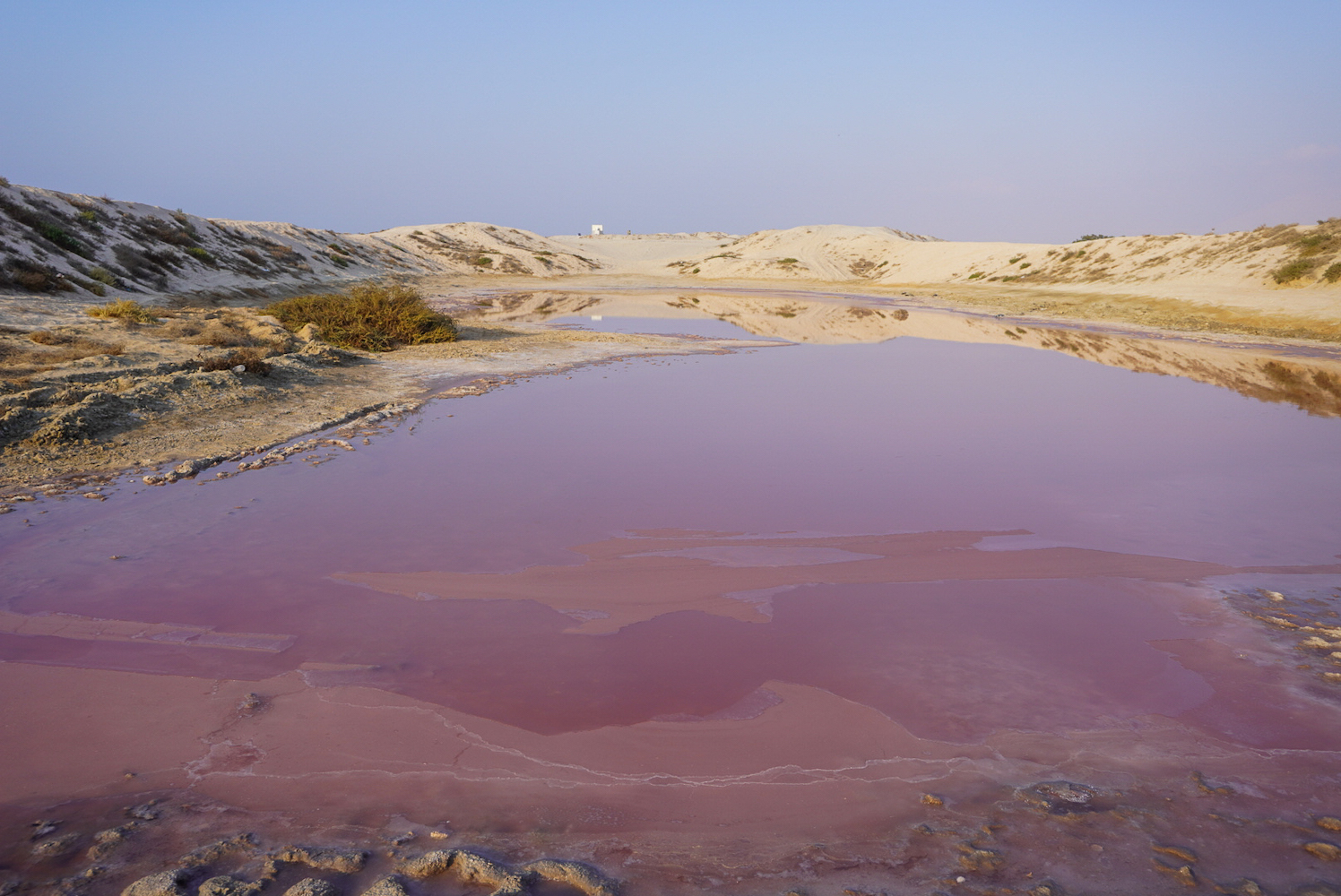 A pink lake with mountains in the background.