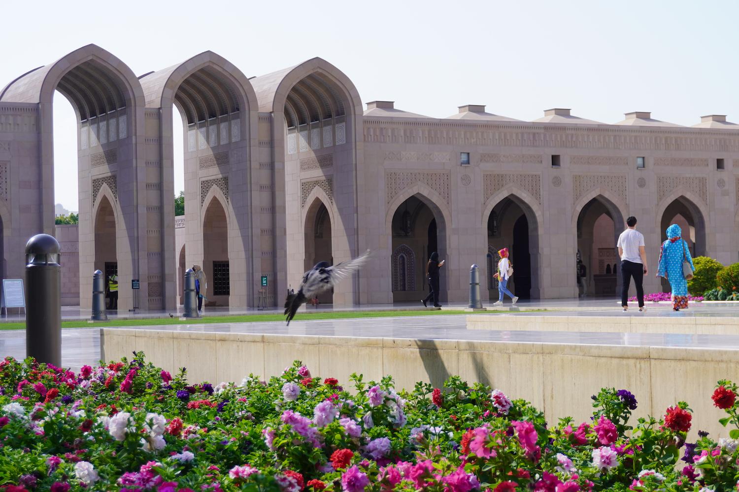 A bird’s in flight at the Sultan Qaboos Grand Mosque with red and purple flower garden below.
