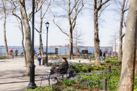 A view in Battery Park with a person sitting on a bench surrounded by trees. The New York Harbor is in the background.