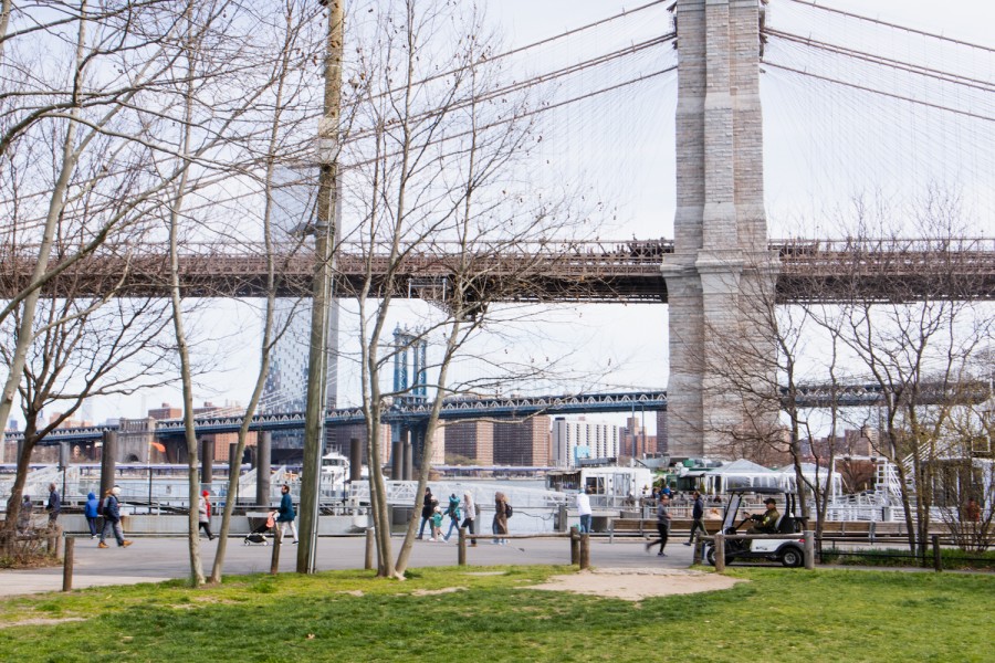 A view from the Brooklyn Bridge Park with a patch of grass and the Brooklyn Bridge in the background.