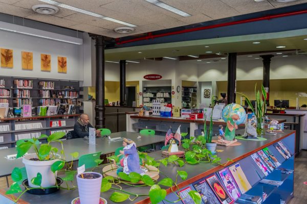 The interior of Mulberry Street Library with a shelf of magazines and books and several pots of plants on top of it. There is a person reading at a table behind the bookshelf. There are more bookshelves by the walls.