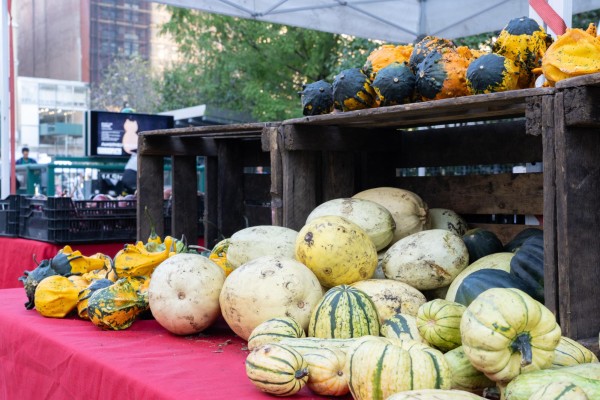 A variety of green and light yellow pumpkins are piled up, spilling out of a crate. A variety of pumpkins are also stacked on top of the crate.