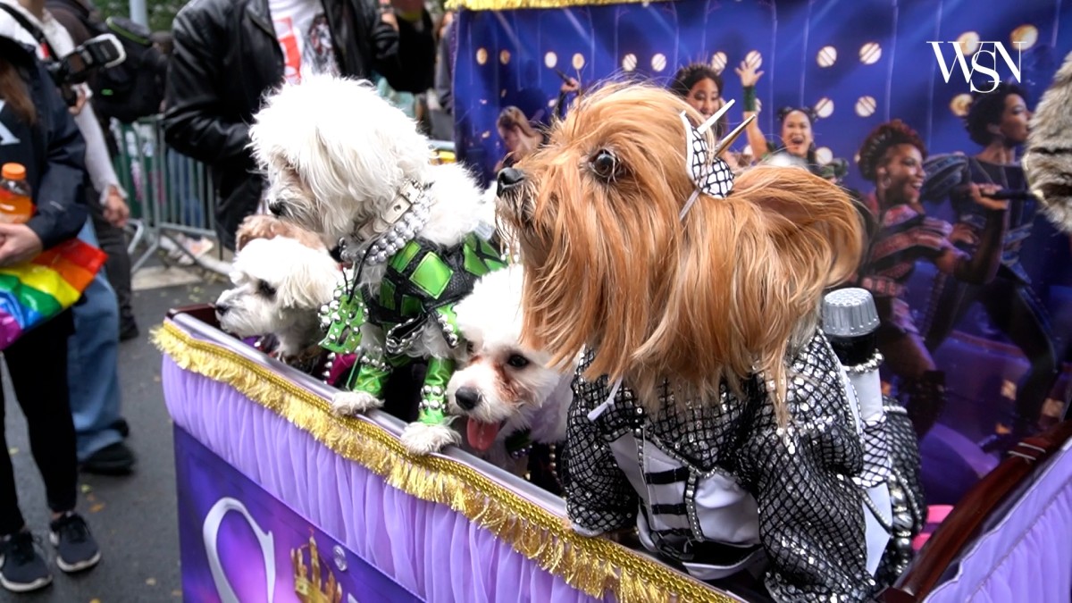 Barks in Tompkins Square Park: Annual Halloween Dog Parade returns