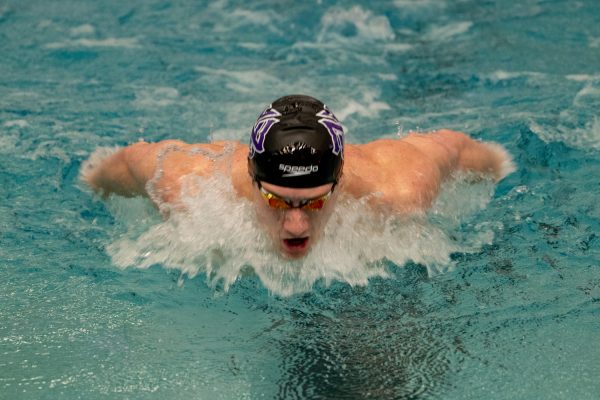 An athlete is in the pool, about to dive his head in. He is wearing a black and purple swimming cap and goggles.