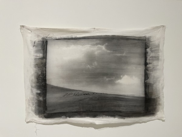 A photo of a black and white painting on fabric depicting a field and sky.