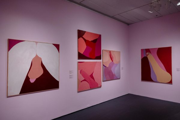 Exhibition space with multiple abstract artworks of genitals and intercourse from different angles in pink tones.