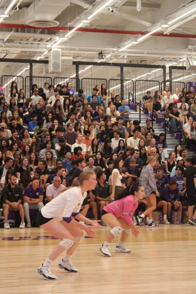 Lindsey Hirano, who is a libero wearing pink, and another NYU volleyball player, who is wearing white, are squatting in preparation to set a volleyball.