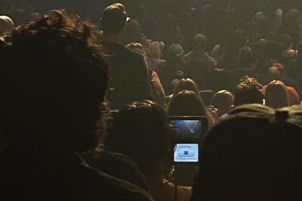 A person recording a concert with a Ninendo DS.
